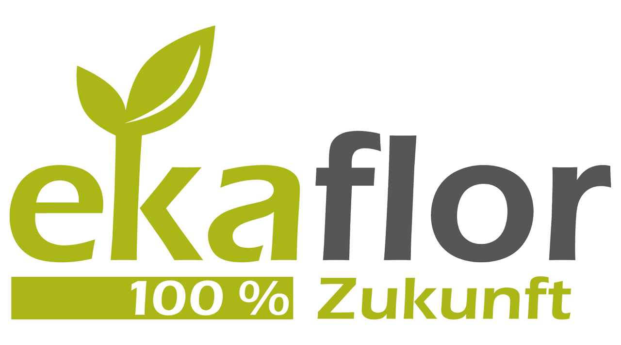 Galleriebild